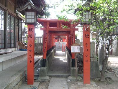 摂社五社稲荷神社の鳥居