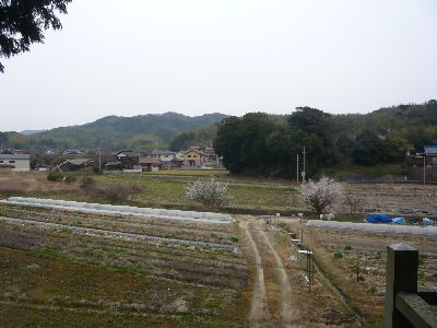 周囲の風景