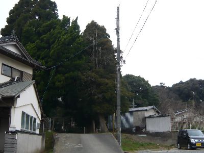 鎮守の杜