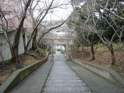 参道の帰り道