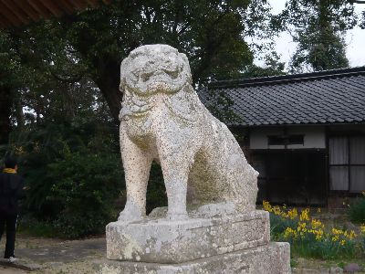 狛犬（阿形）