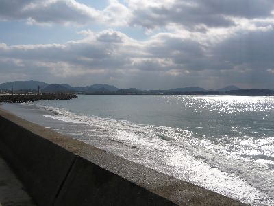 海岸の景色