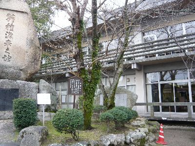 山桑の木