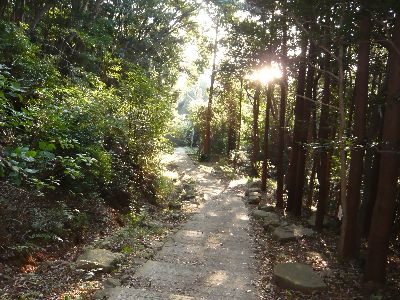 参道の山道