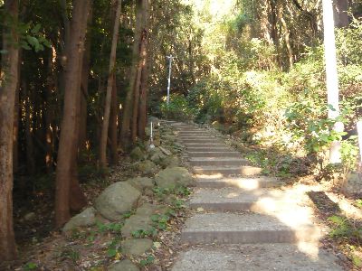 参道の山道