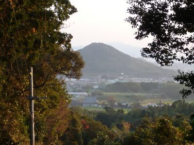 参道から火の見山を望む