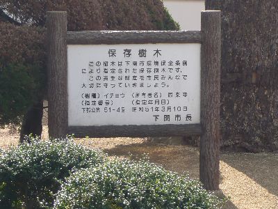 保存樹木看板