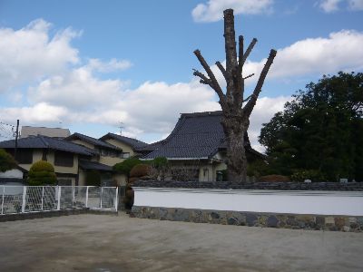 お寺の全景