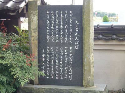 金子みすず(ほしとたんぽぽ)