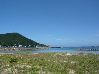 海岸の様子