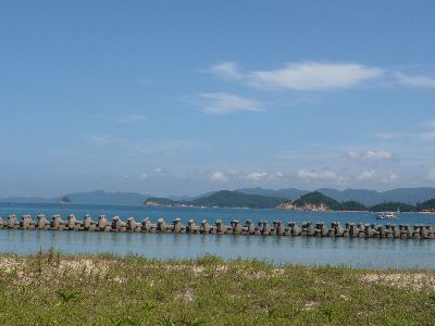 海岸の様子