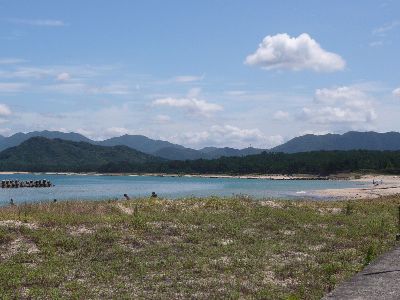 海岸の様子