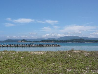 海岸の様子