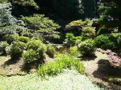 雪舟の庭園